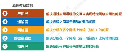 计算机网络第一章概述小结与计算机系统服务