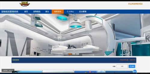 基于Java的宠物医院管理系统设计与实现